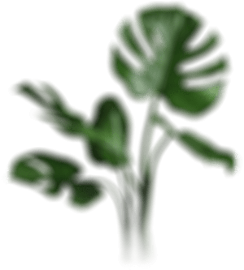 clinic4 plant2 (1)